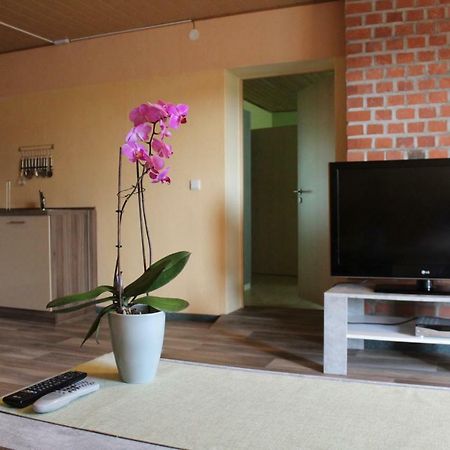 Ferienwohnung Im Gruenen Diesbar-Seusslitz Εξωτερικό φωτογραφία
